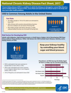 kidney fact sheet
