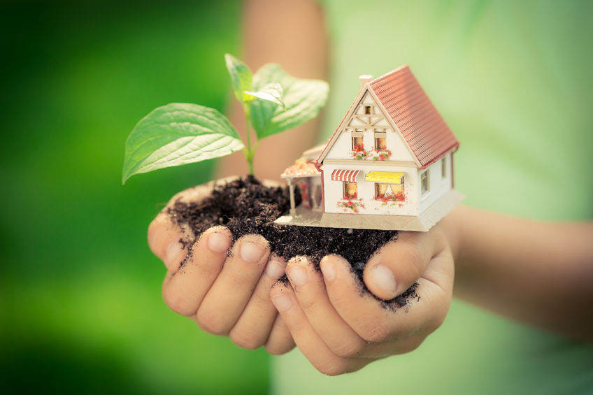 37128537 - child holding house and tree in hands against spring green background. real estate concept